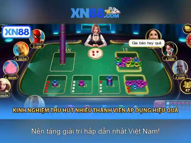 Tổng quan về xn88