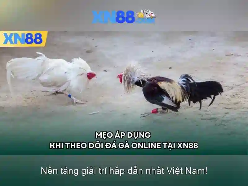Chất lượng trải nghiệm người dùng trên xn88