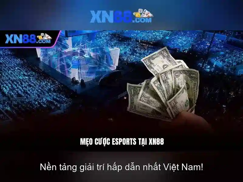 Các sản phẩm nổi bật tại xn88