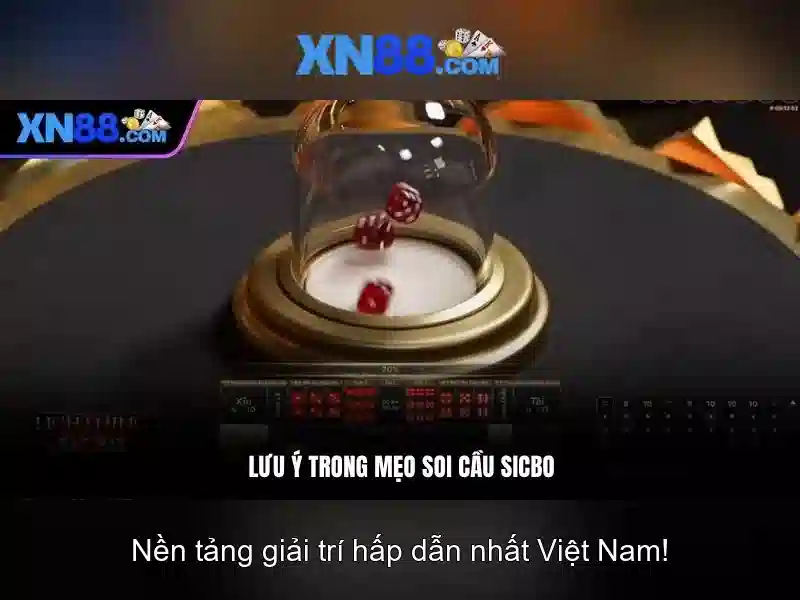 Kinh nghiệm người dùng và Phản hồi cộng đồng