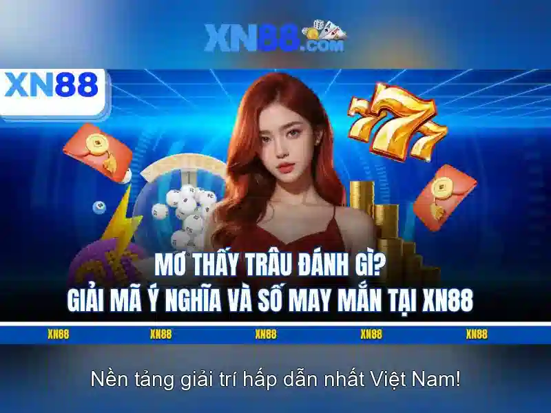 xn88: Tổng quan, an toàn và trải nghiệm người dùng