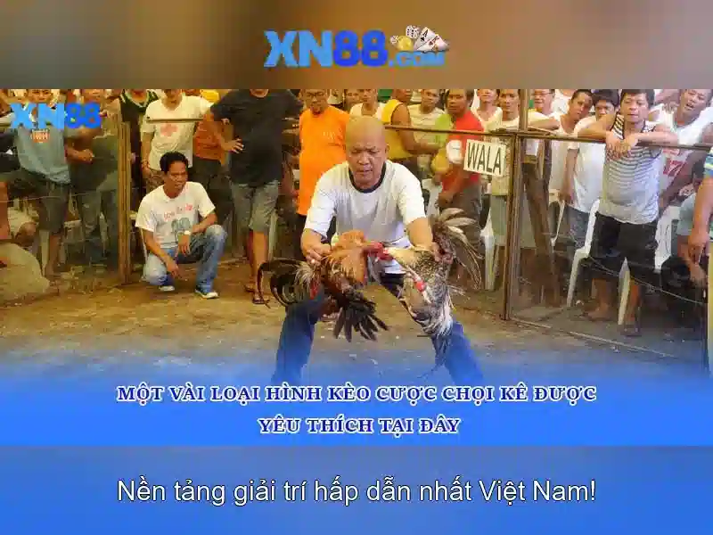 Các danh mục trò chơi và chức năng