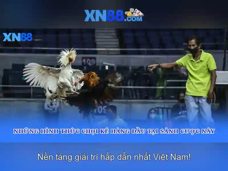 Trải nghiệm người dùng và cơ hội giải trí