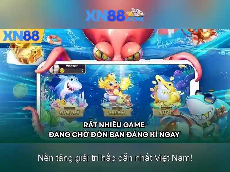 Bảo mật và quản lý tài khoản