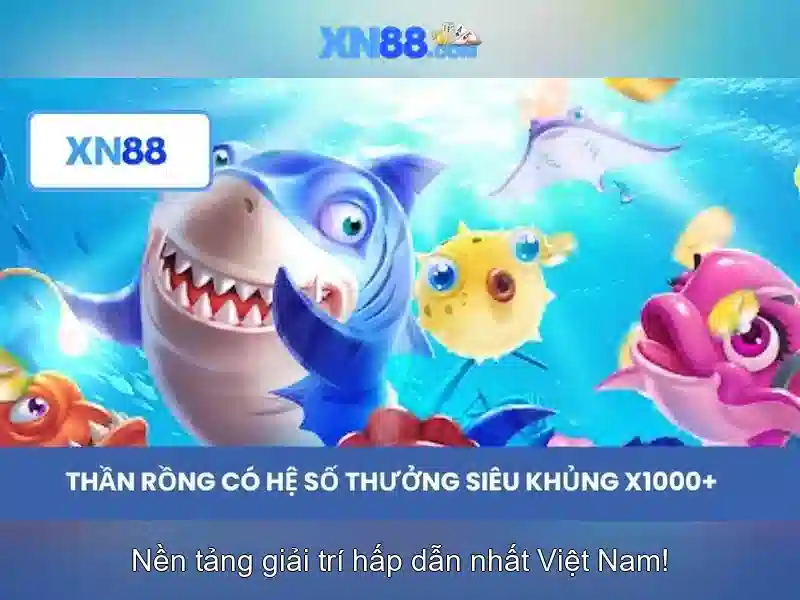 Lưu ý cho người chơi và kết luận
