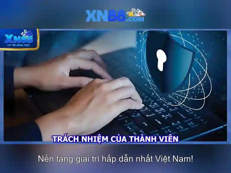 Giao diện nhà cái hoàn hảo