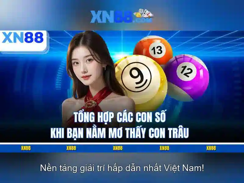 Giao diện nhà cái hoàn hảo