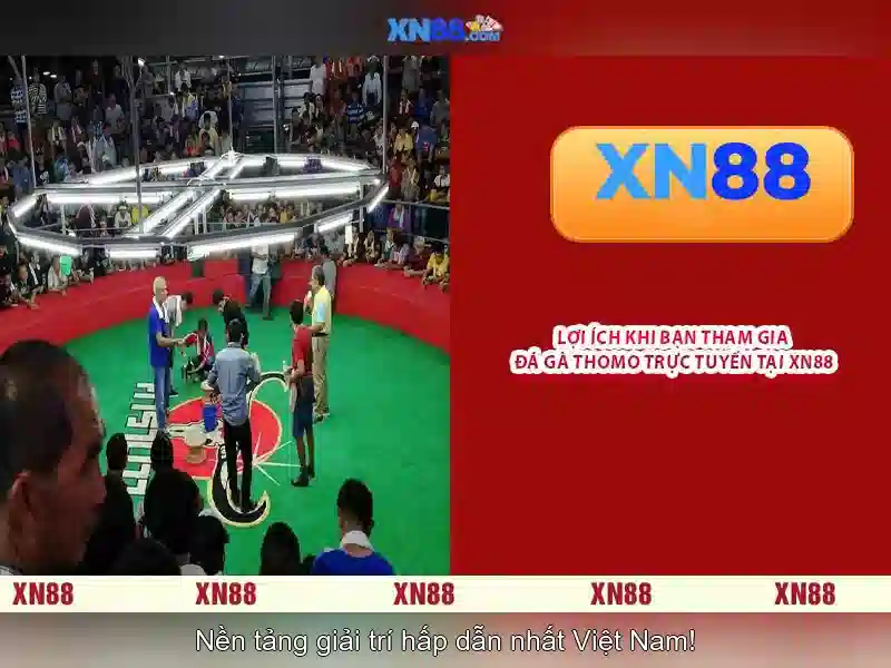 telegram xn88 code nx88 – Tổng quan chủ đề và giá trị cốt lõi