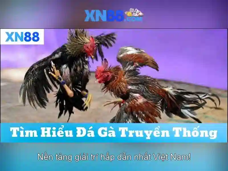 xn88: Tổng quan và trải nghiệm chơi trực tuyến an toàn Giao diện nhà cái hoàn hảo