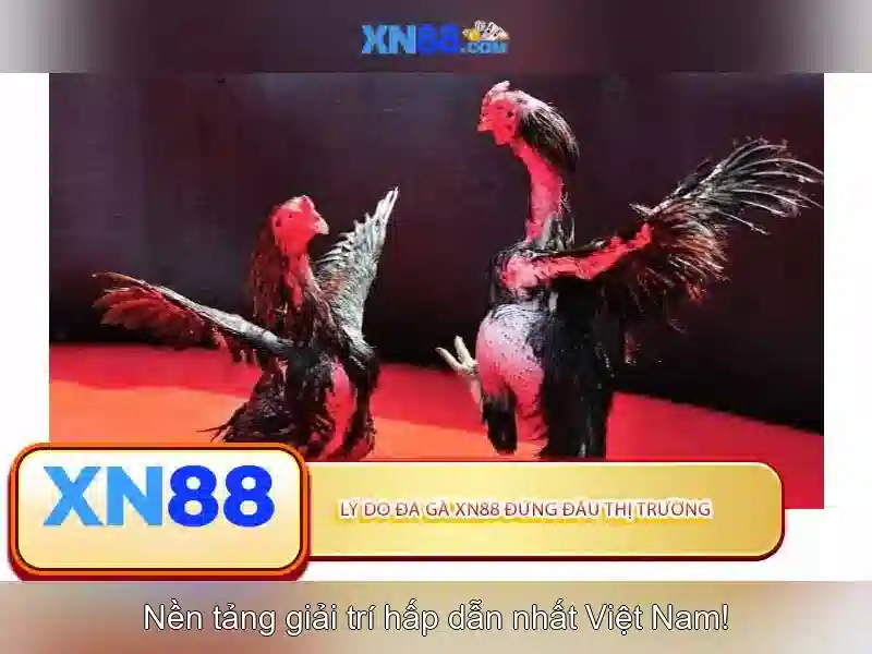 Khía cạnh kỹ thuật của xn88<h>Ứng dụng và tác động xã hội của xn88</h><p><span style=