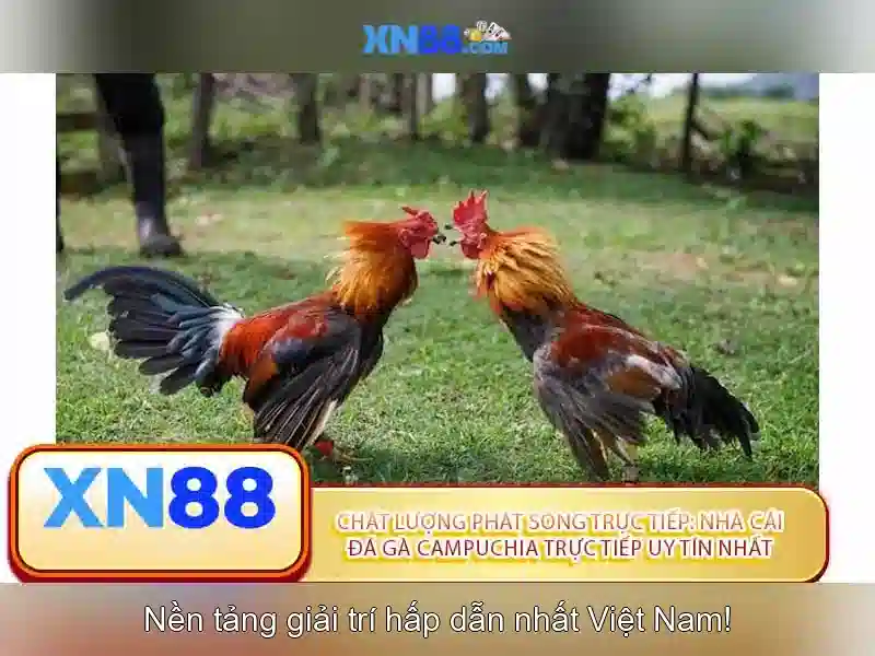 Trò chơi và trải nghiệm người dùng