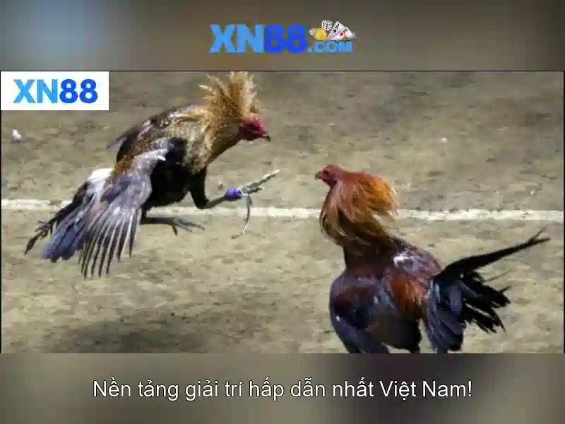 xn88: Nền tảng trò chơi trực tuyến đáng chú ý