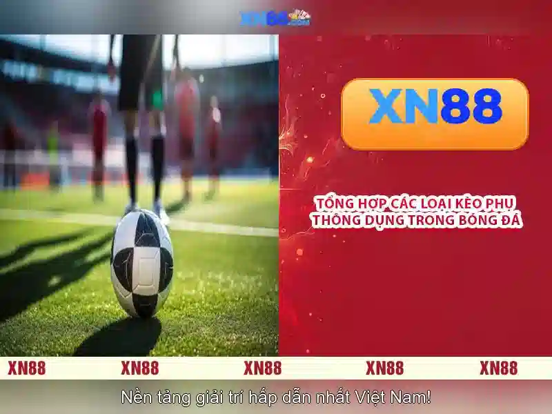 An toàn và trách nhiệm khi tham gia