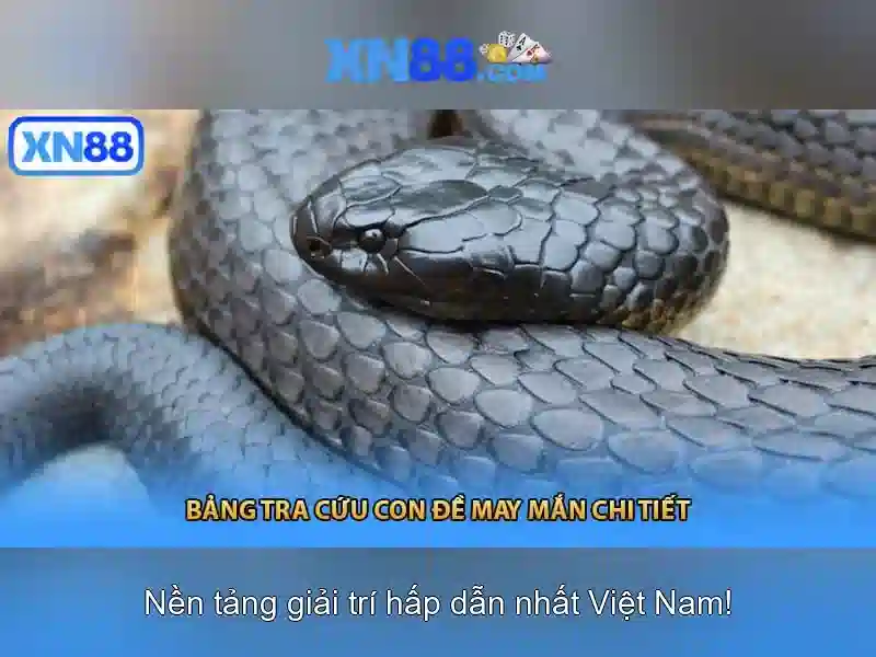 xn88 là gì và những điều nên biết Giao diện nhà cái hoàn hảo