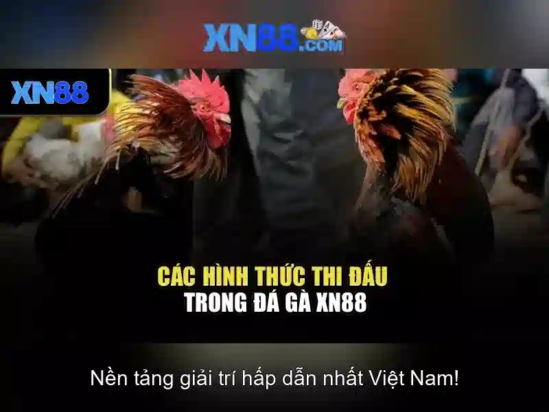 xn88: Khai phá một khái niệm công nghệ và cộng đồng