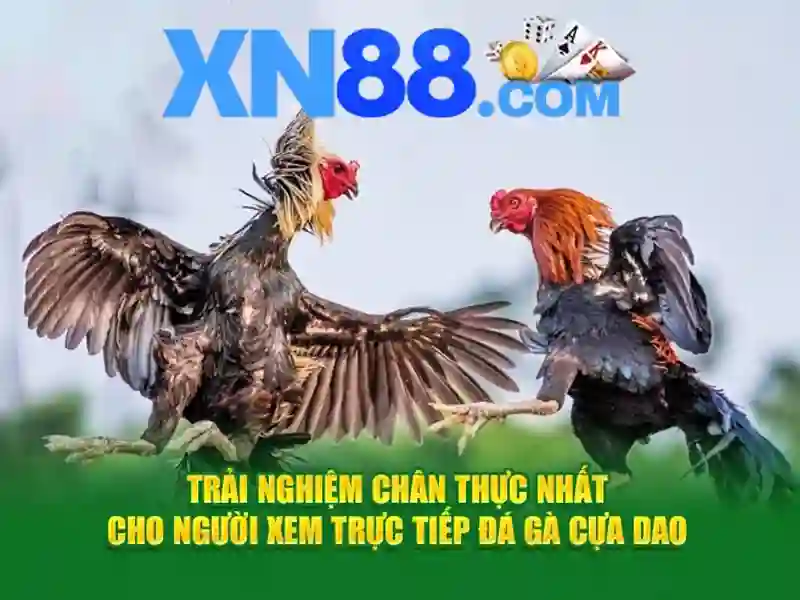 Giao diện sảnh casino trực tuyến xn88 hiện đại và sang trọng